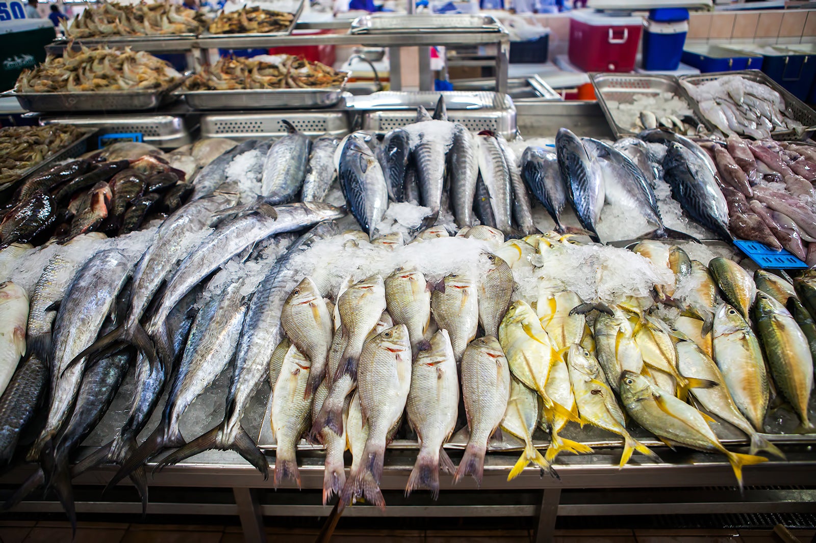 Bullring Indoor Market In Birmingham Find Fresh Fish And More Go Guides   C9a98a5d A387 4b15 A19b 5f10c28fecd5 