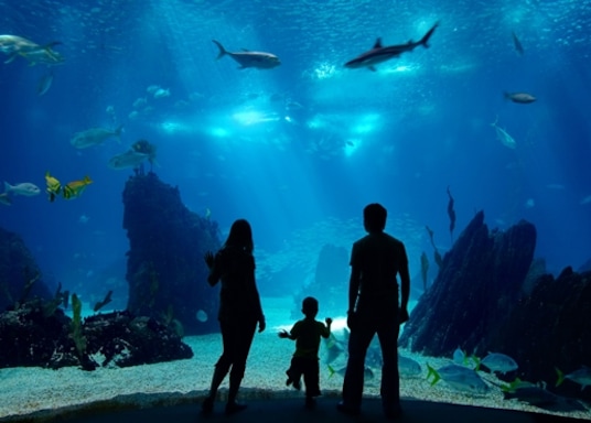 片瀬海岸 江ノ島水族館のホテル 宿泊予約 格安ホテル予約 最安値検索 江ノ島水族館のおすすめ宿泊情報 ホテルズドットコム 片瀬海岸 江ノ島水族館のホテル 宿泊予約 格安ホテル予約 最安値検索 江ノ島水族館のおすすめ宿泊情報 ホテルズドットコム