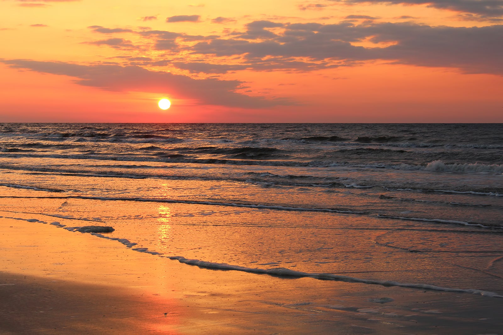 10 Best Beaches in Galveston Discover the Most Amazing Beaches of