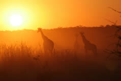 Afrika und Indischer Ozean